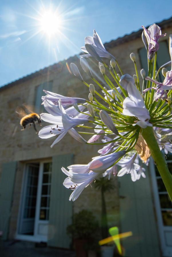 Gite Entre Bordeaux Et Saint-Emilion Genissac Bagian luar foto